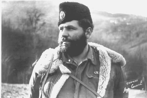 Serbian national movement outside of Serbia